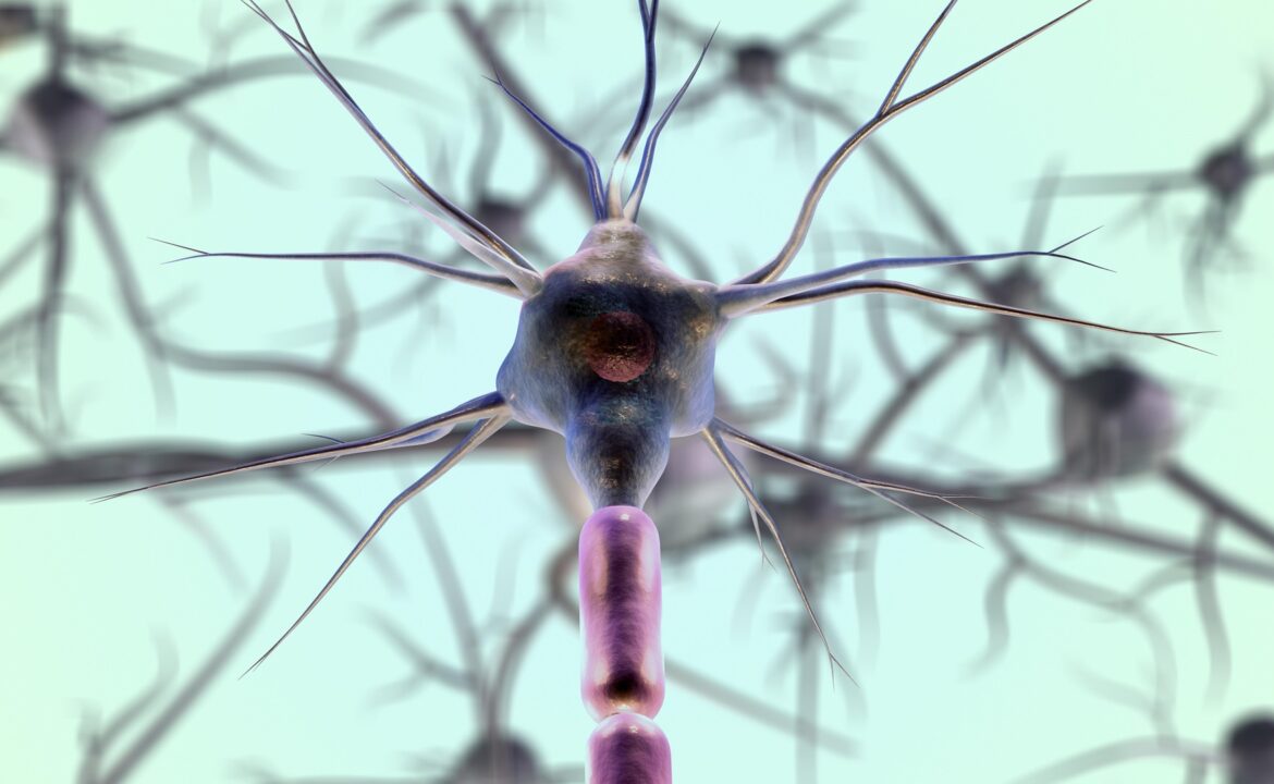 imgmidi-neurons-7079536_1920