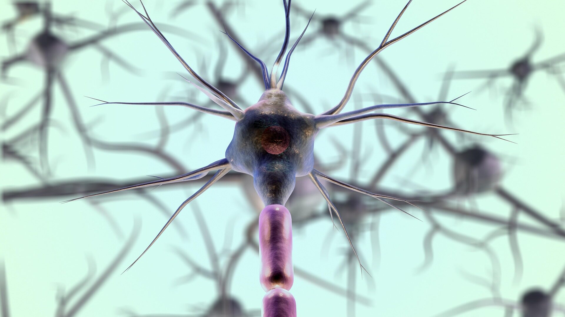 imgmidi-neurons-7079536_1920