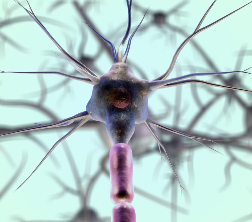 imgmidi-neurons-7079536_1920